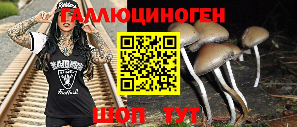 Галлюциногенные грибы Cubensis  Вход с VPN  цены   Краснокаменск  Псилоцибиновые грибы прущие грибы 